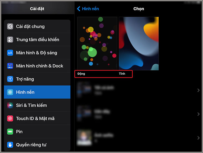 iOS 13